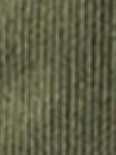 Darell – Hooded Windbreaker Jacket