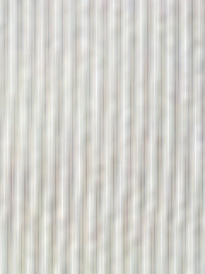 Darell – Hooded Windbreaker Jacket