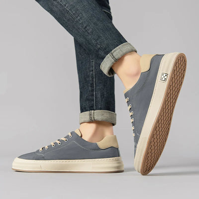 Alexander - Everyday Walkers